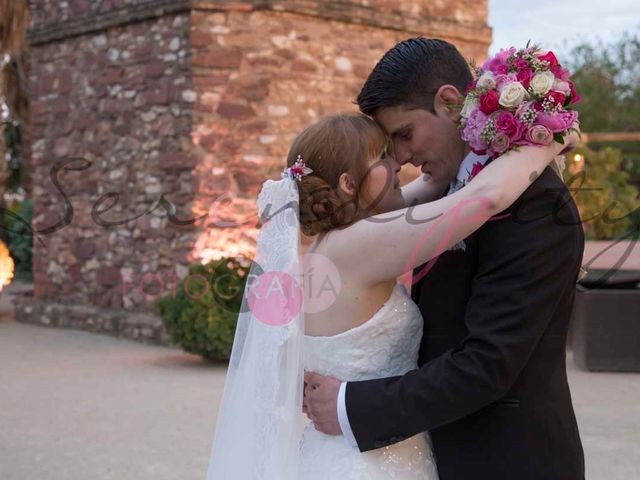 La boda de Carlos y Silvia en El Puig, Valencia 15