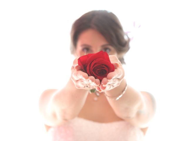 La boda de Sergi y Aida en Palau De Plegamans, Barcelona 1