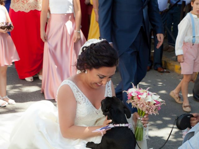 La boda de Juan José y Alicia en Pozoblanco, Córdoba 33