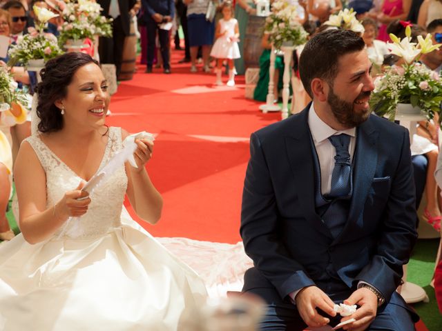 La boda de Juan José y Alicia en Pozoblanco, Córdoba 42