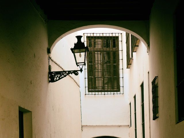 La boda de Alfredo y Laura en Plasencia, Cáceres 41