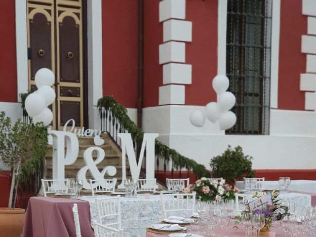 La boda de Pedro  y Mari Paz  en Córdoba, Córdoba 3