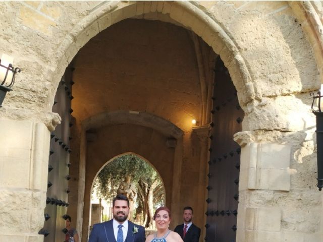 La boda de Pedro  y Mari Paz  en Córdoba, Córdoba 4