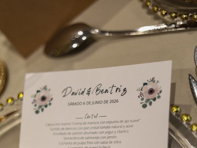 La boda de David y Bea en Corvera, Asturias 32