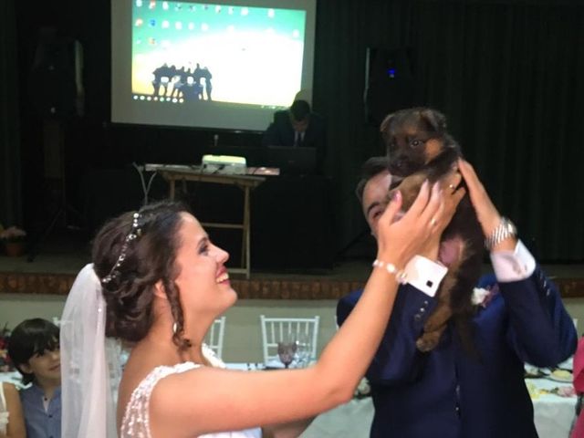 La boda de Francisco y Irene en Villanueva De Las Cruces, Huelva 2