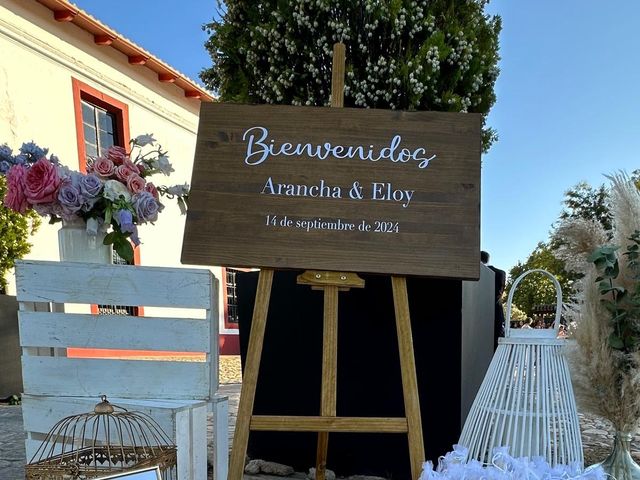 La boda de Eloy y Arancha  en Alcalá De Henares, Madrid 11