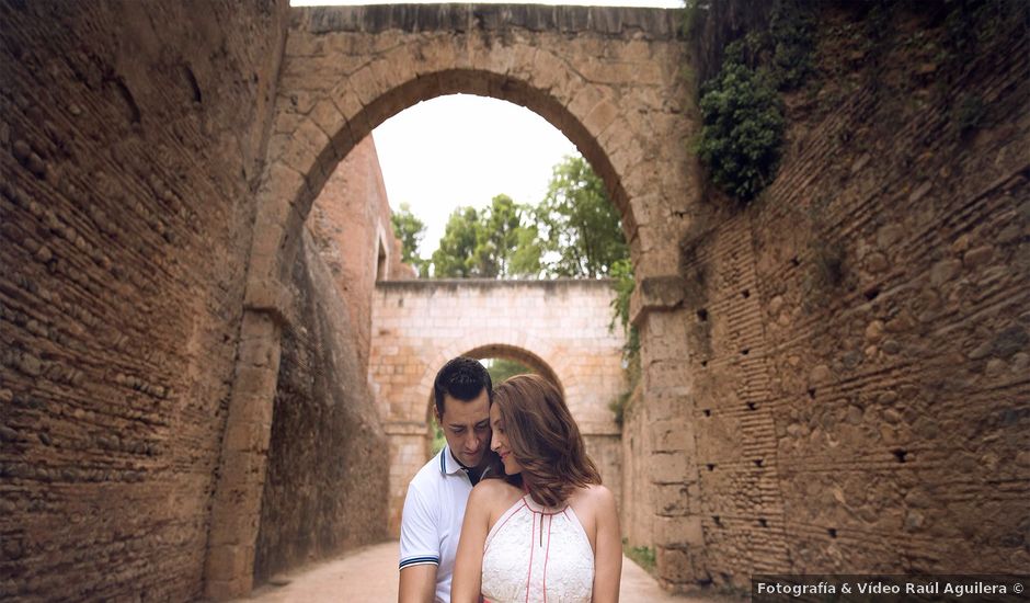 La boda de Javier y Loli en Otura, Granada