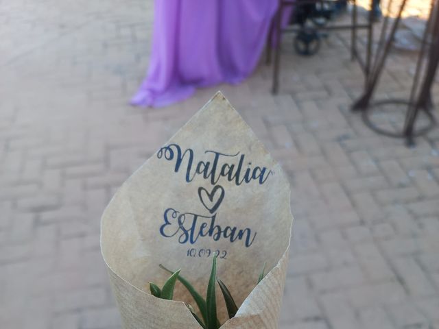 La boda de Esteban y Natalia en Colmenar Viejo, Madrid 12