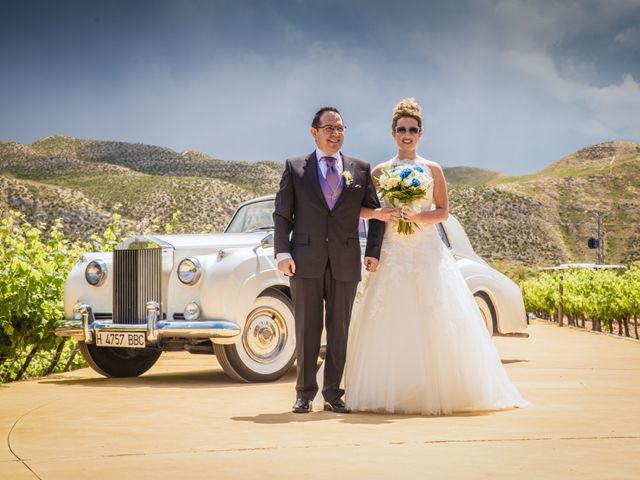 La boda de Pablo y Alba en Cuarte De Huerva, Zaragoza 14