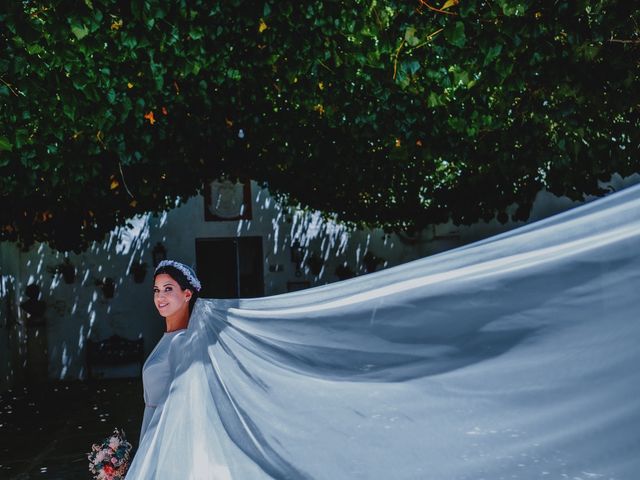 La boda de Fran y Rebeca en Jerez De La Frontera, Cádiz 30