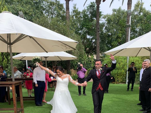 La boda de Mari Nieves  y José Luis  en Aspe, Alicante 5