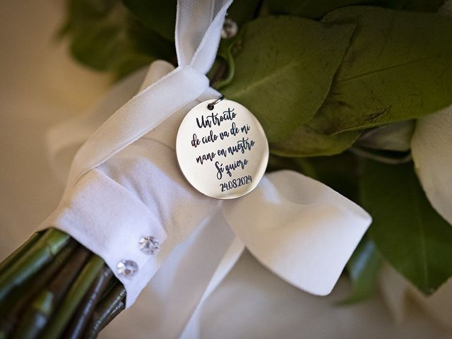 La boda de Alfredo y Tamara en Cáceres, Cáceres 10