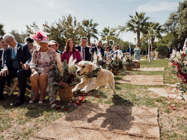 La boda de Paula y Jorge en Mutxamel, Alicante 2