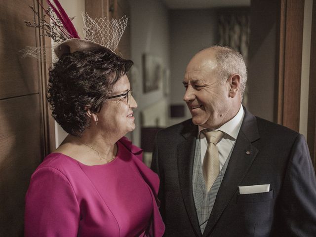 La boda de Alberto y Ana en Talavera De La Reina, Toledo 36