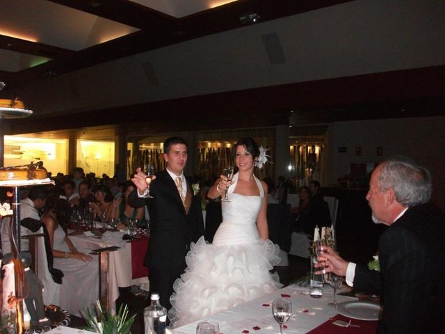 La boda de Vicente y Patricia en Albalat De La Ribera, Valencia 2