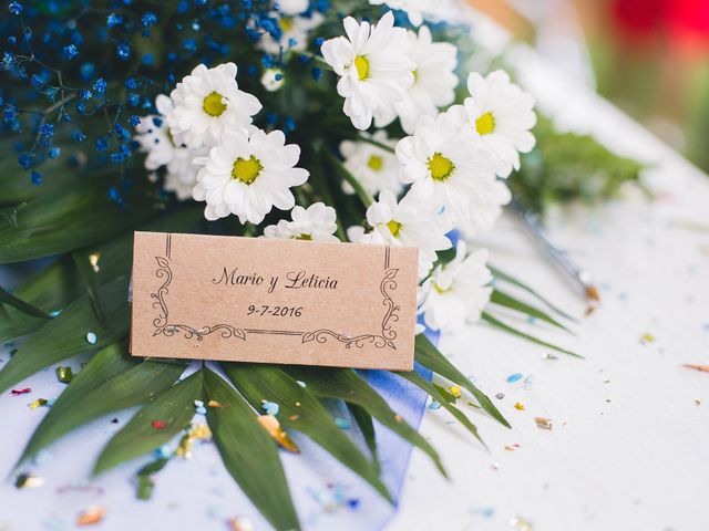 La boda de Mario y Leticia en Ciudad Real, Ciudad Real 49