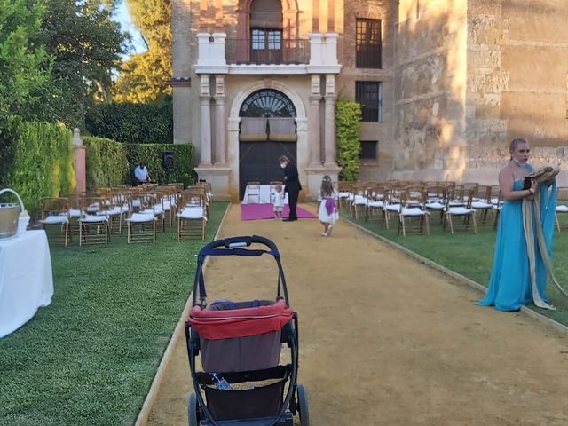 La boda de Víctor  y Sílvia  en Fuentes De Andalucia, Sevilla 2