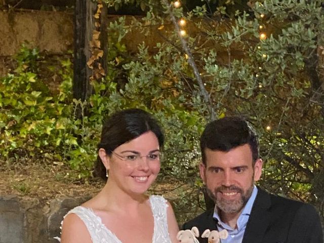 La boda de Sergio y Mercè  en Caldes De Montbui, Barcelona 8