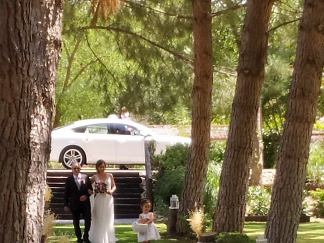La boda de Luis y  Yany en Los Santos De La Humosa, Madrid 10