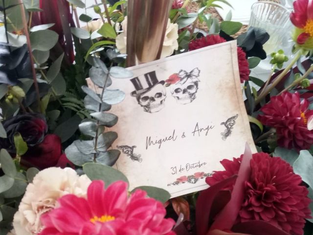 La boda de Miguel y Anyi en Córdoba, Córdoba 4