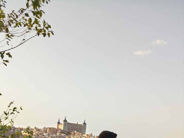 La boda de Isabel y Daniel en Toledo, Toledo 6