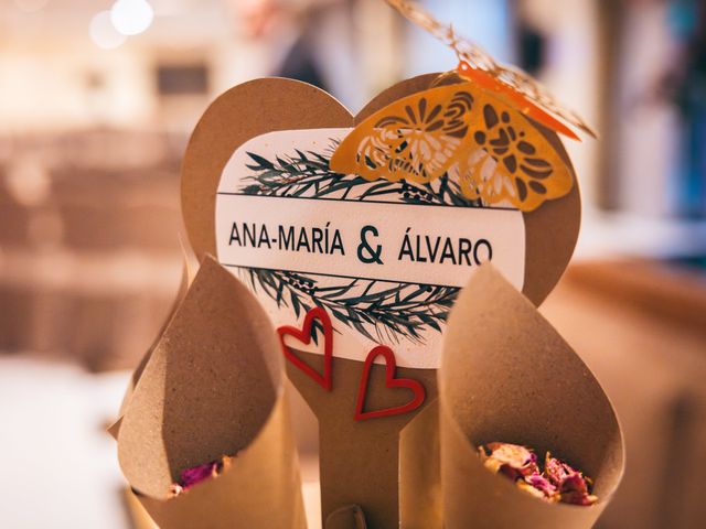 La boda de Álvaro y Ana-Maria en Toledo, Toledo 2