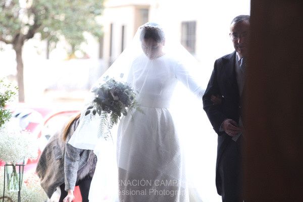 La boda de David y Africa en Ubeda, Jaén 42