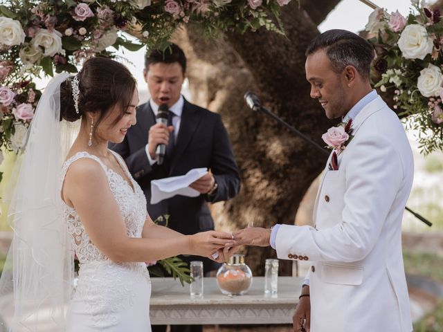 La boda de Ajay y Lydia en Toledo, Toledo 38