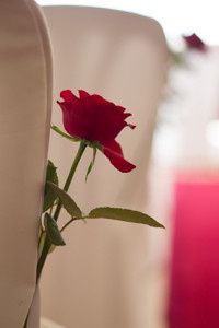 La boda de Jose Carlos y Xema en Bueu (Resto Parroquia), Pontevedra 17