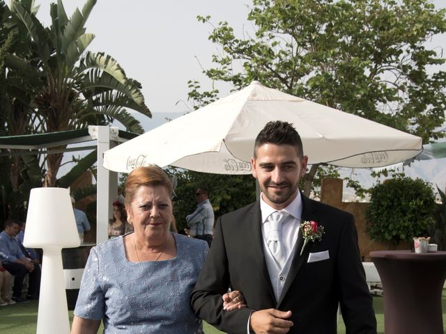 La boda de Lidia y David en Huercal De Almeria, Almería 29