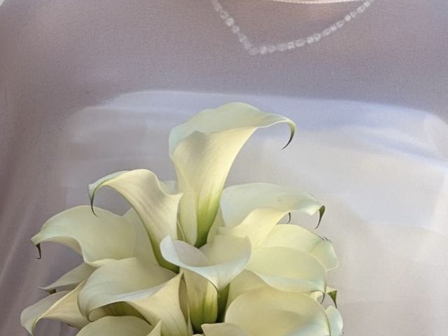 La boda de Adrián y Teresa en Albacete, Albacete 3