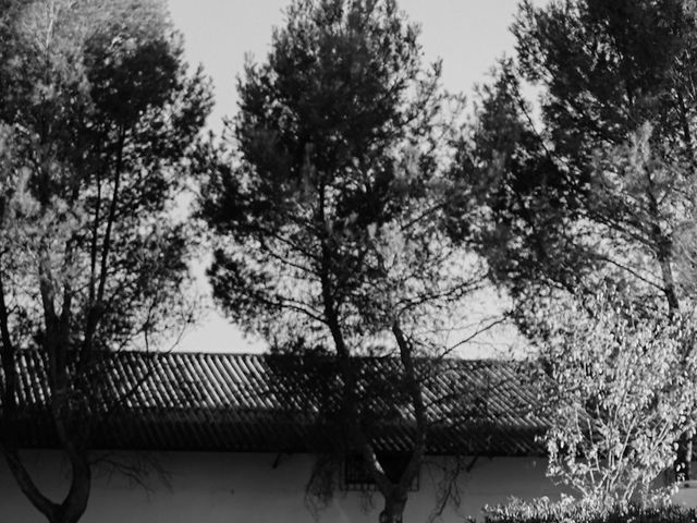 La boda de Marga y Jorge en Ciudad Real, Ciudad Real 39