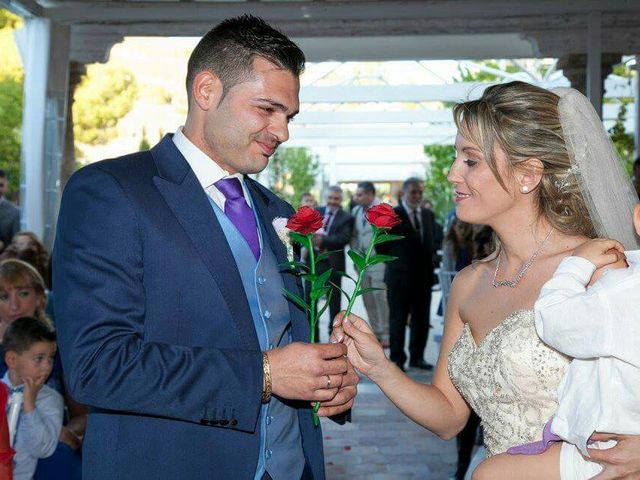 La boda de Javi y Stella en Valdilecha, Madrid 8