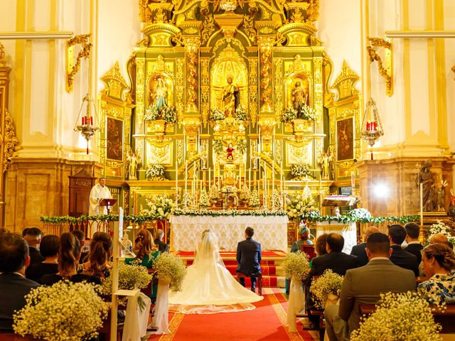 La boda de Noé y Susana en San Pedro de Alcántara, Málaga 34