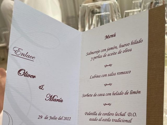 La boda de Oliver y Maria en Alcalá De Henares, Madrid 15