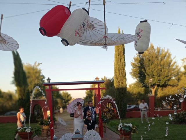 La boda de David y Lucía del Amor en Carmona, Sevilla 4