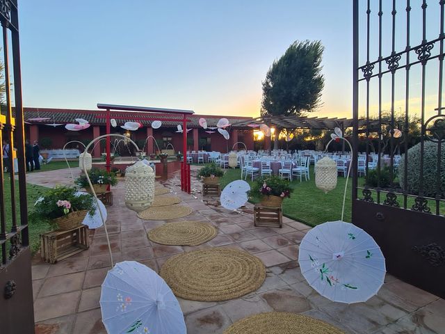 La boda de David y Lucía del Amor en Carmona, Sevilla 1