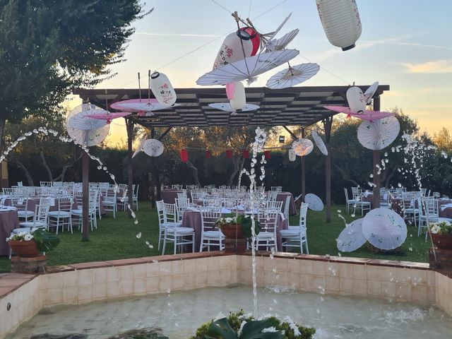 La boda de David y Lucía del Amor en Carmona, Sevilla 17