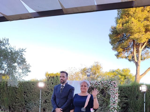 La boda de David y Lucía del Amor en Carmona, Sevilla 24