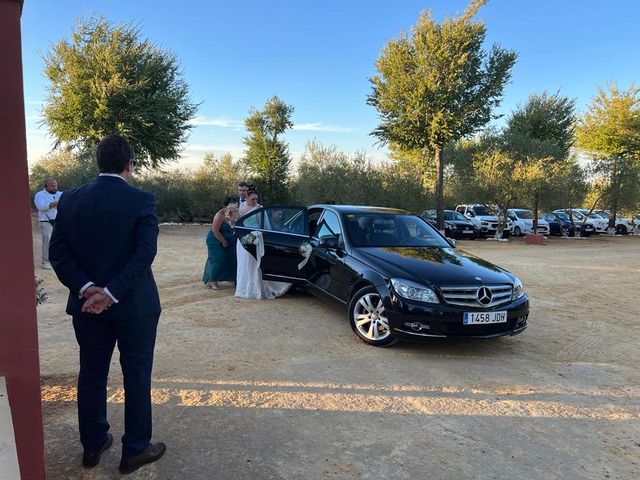 La boda de David y Lucía del Amor en Carmona, Sevilla 28