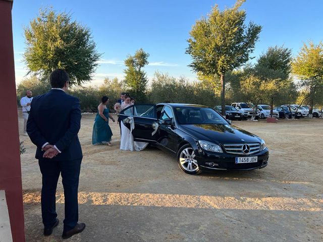 La boda de David y Lucía del Amor en Carmona, Sevilla 29