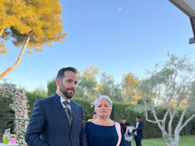 La boda de David y Lucía del Amor en Carmona, Sevilla 30