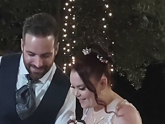 La boda de David y Lucía del Amor en Carmona, Sevilla 33