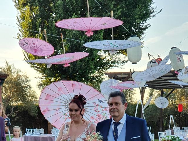 La boda de David y Lucía del Amor en Carmona, Sevilla 35
