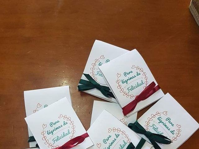 La boda de Juan y Mari Sierra  en Cabra, Córdoba 6