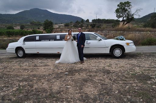 La boda de Daniel  y Elena  en Cabra Del Camp, Tarragona 8