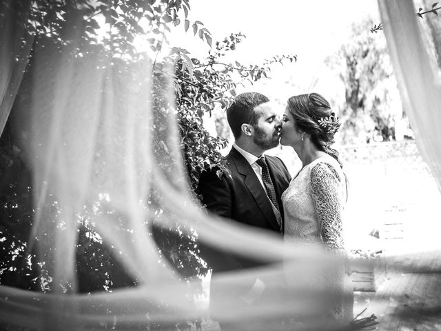 La boda de Aaron y Loida en Palomares Del Rio, Sevilla 81