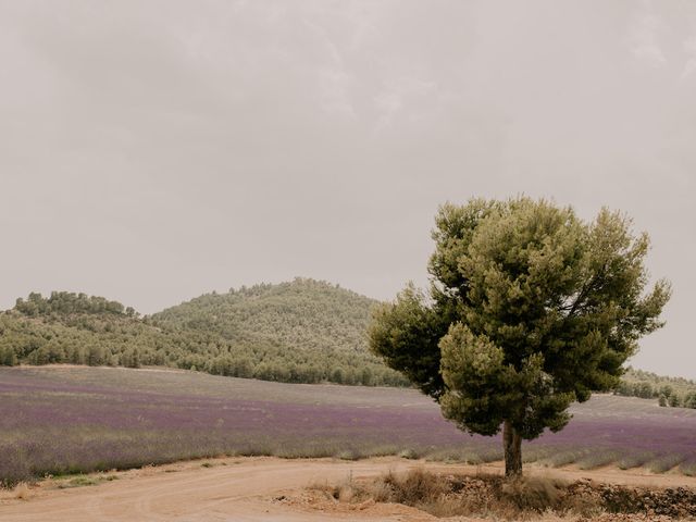 La boda de Pedro y Lourdes en Lietor, Albacete 1