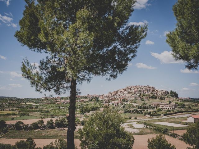 La boda de Rob y Elena en Horta De Sant Joan, Tarragona 35