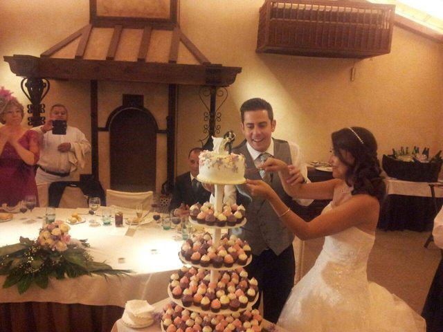 La boda de Jorge y Mónica en Illescas, Toledo 16